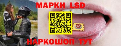 шишки Аргун