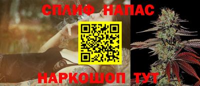 шишки Аргун