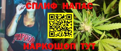 шишки Аргун