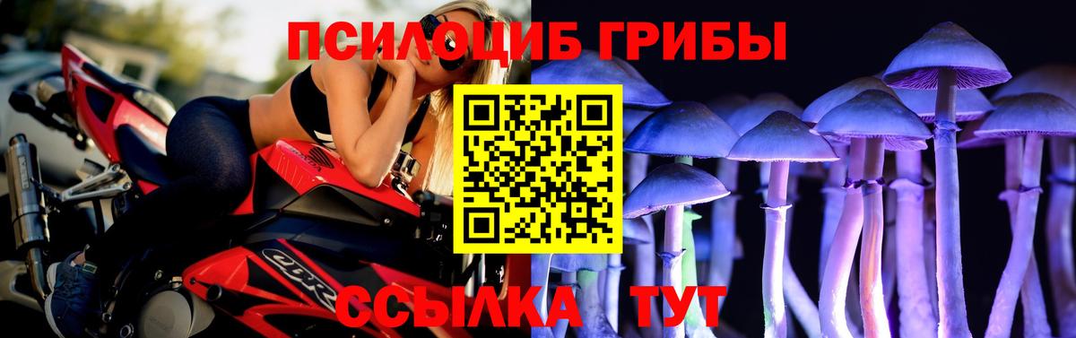 Волжск  Галлюциногенные грибы MAGIC MUSHROOMS  Вход с VPN 